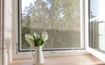Mosquiteros para ventanas: tipos y cómo elegir